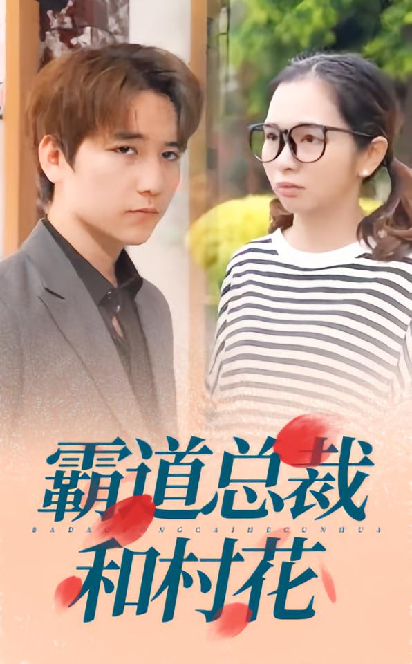 霸道总裁和村花