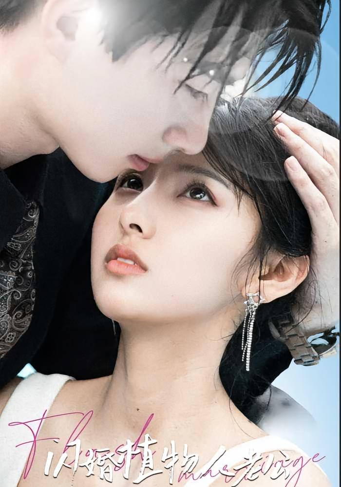 闪婚植物人老公