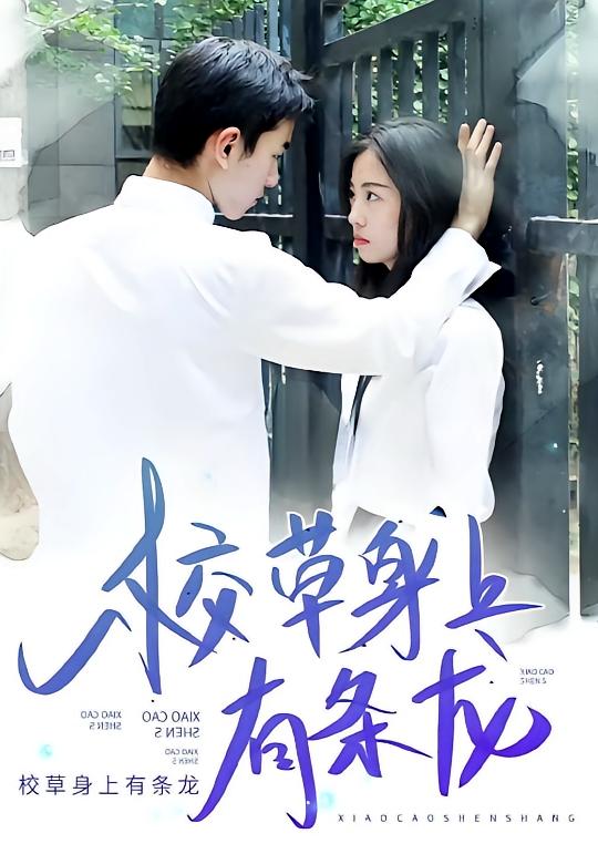 校草身上有条龙