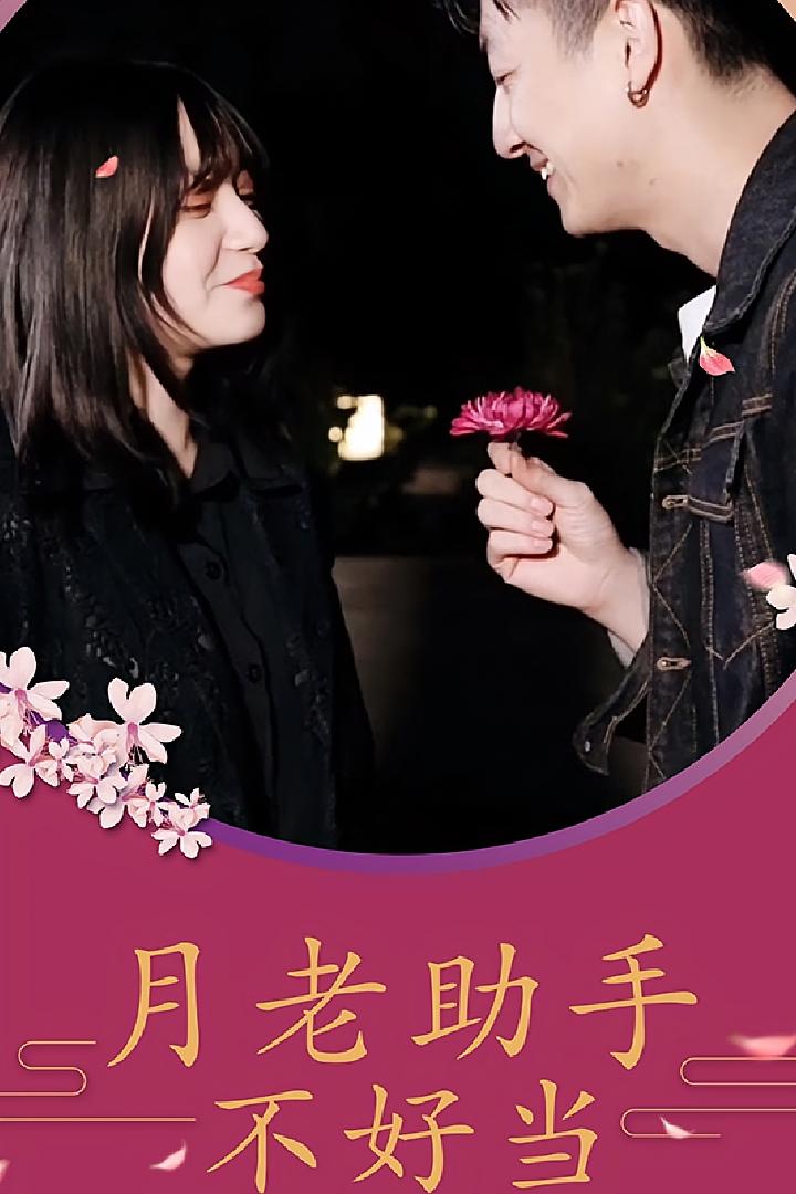 月老助手不好当