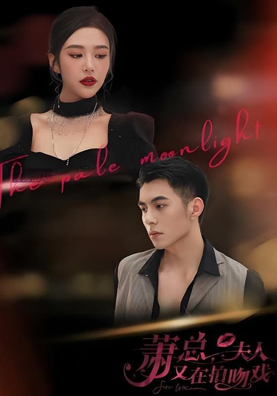 萧总，夫人又在拍吻戏