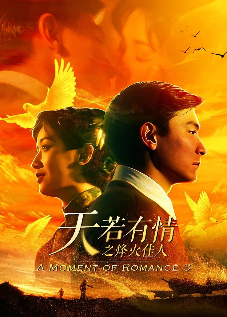 天若有情之烽火佳人