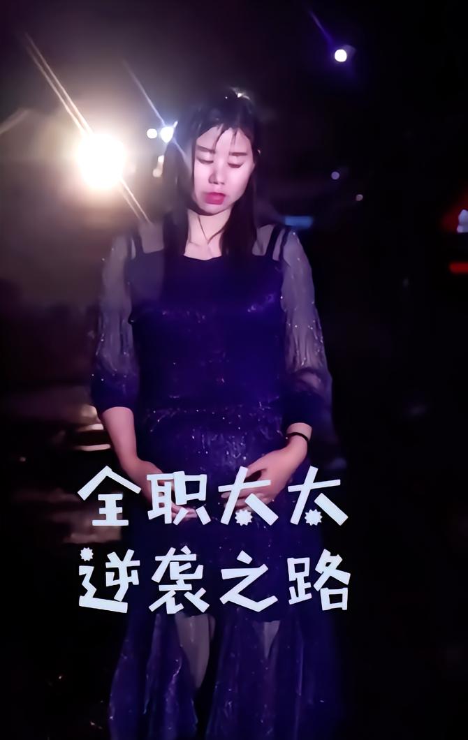 全职太太逆袭之路