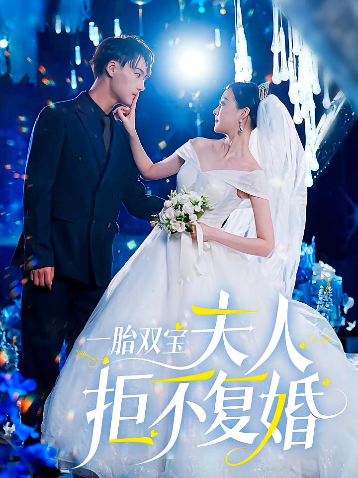 一胎双宝夫人拒不复婚