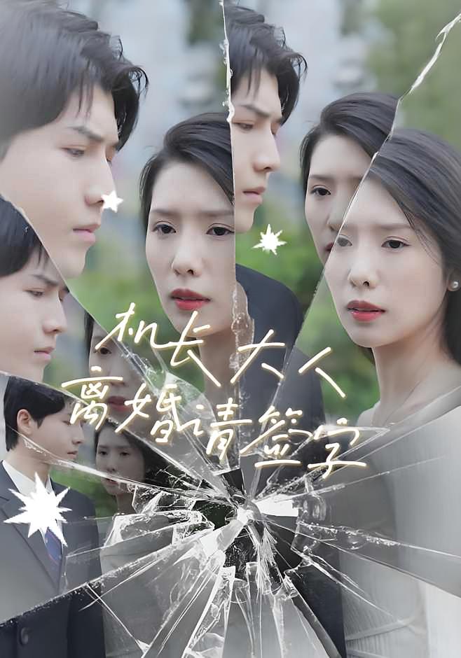 机长大人，离婚请签字