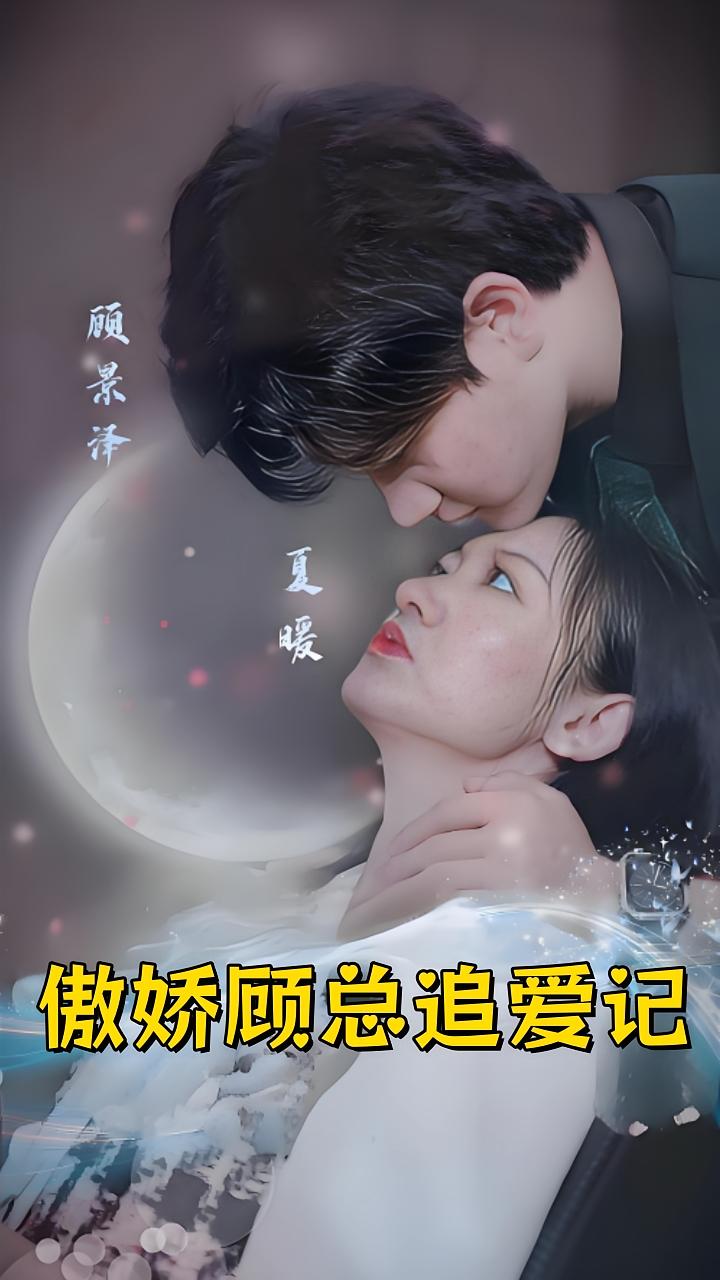 傲娇顾总追爱记