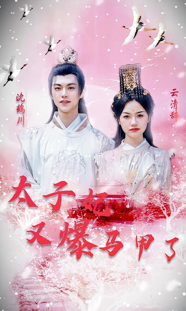 太子妃又爆马甲了