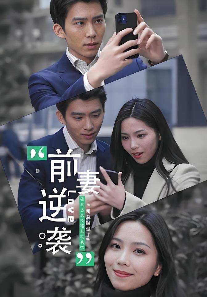 前妻逆袭司总别追了