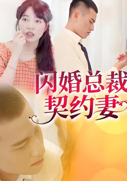 闪婚总裁契约妻