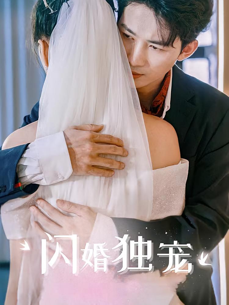 闪婚独宠