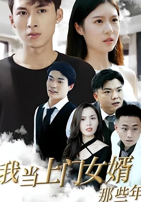 我当上门女婿那些年