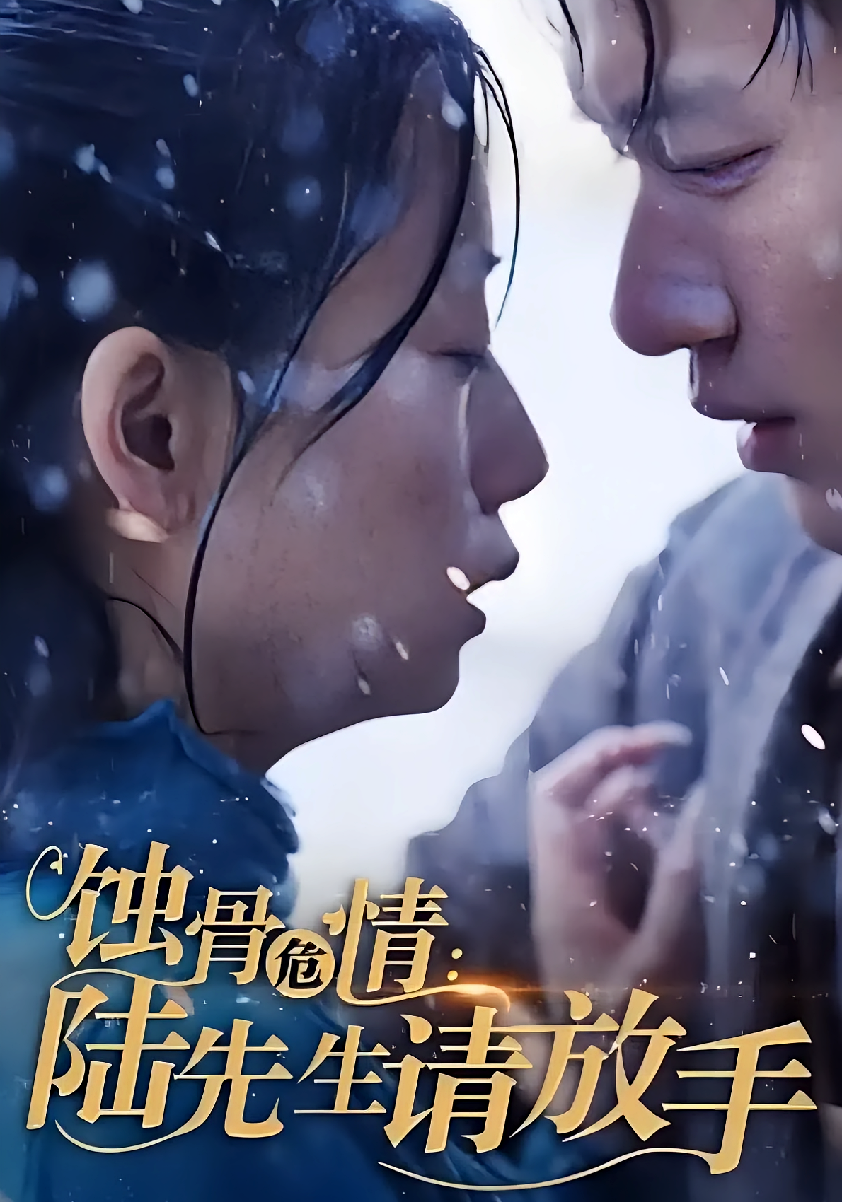 蚀骨危情：陆先生请放手