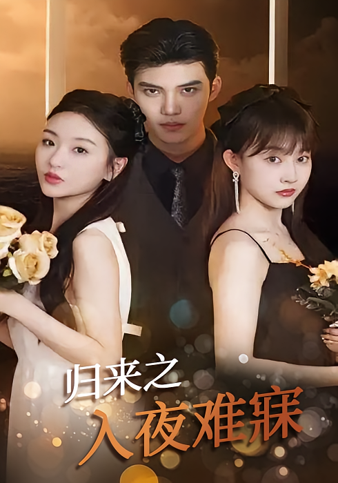 归来之入夜难寐