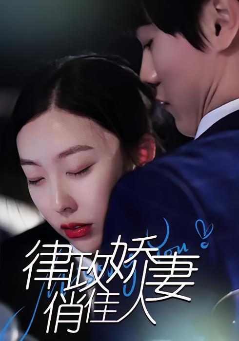 律政娇妻俏佳人