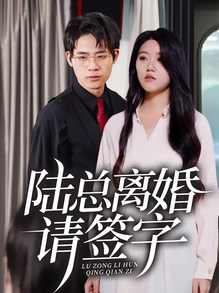 陆总离婚请签字