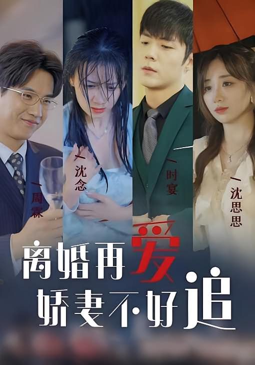 离婚再爱 娇妻不好追