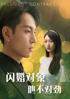 闪婚对象他不对劲