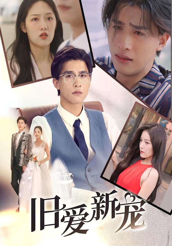 旧爱新宠