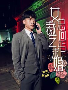 女总裁向乞丐求婚