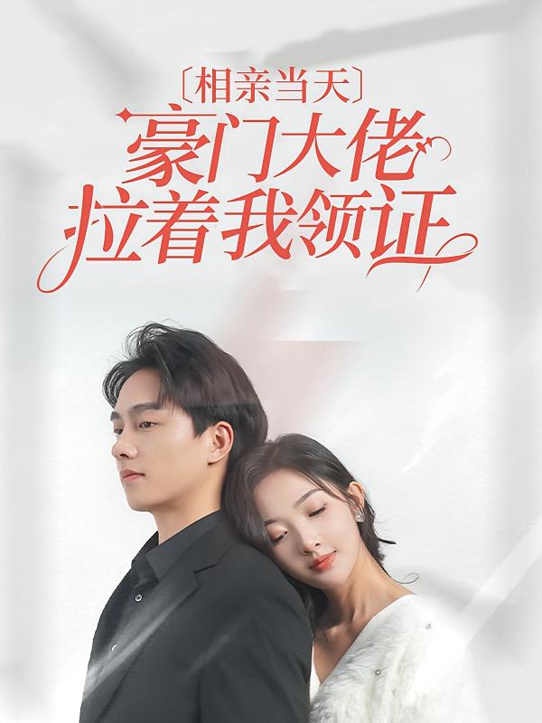 相亲当天，豪门大佬拉着我领证