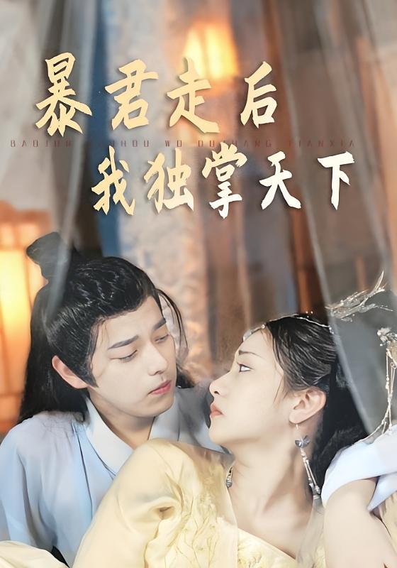 暴君走后我独掌天下