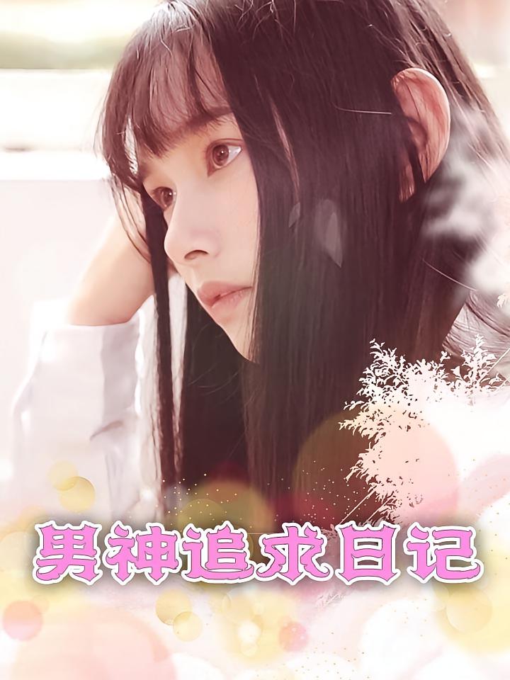 男神追求日记