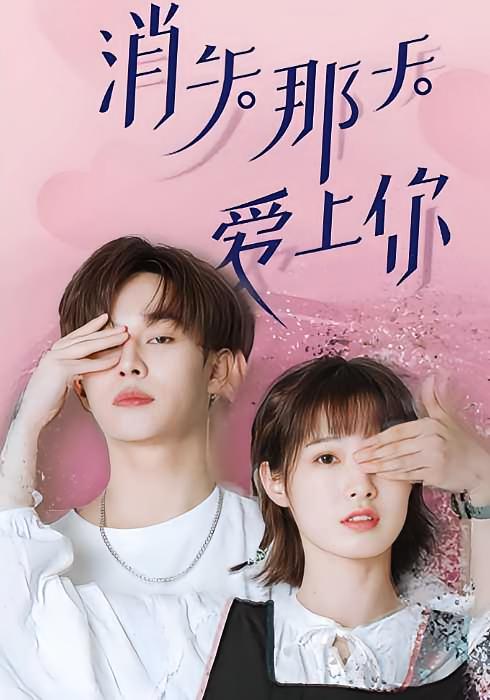 消失那天爱上你
