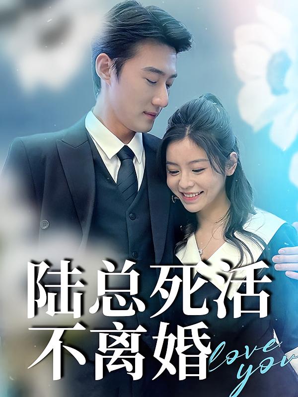 陆总死活不离婚