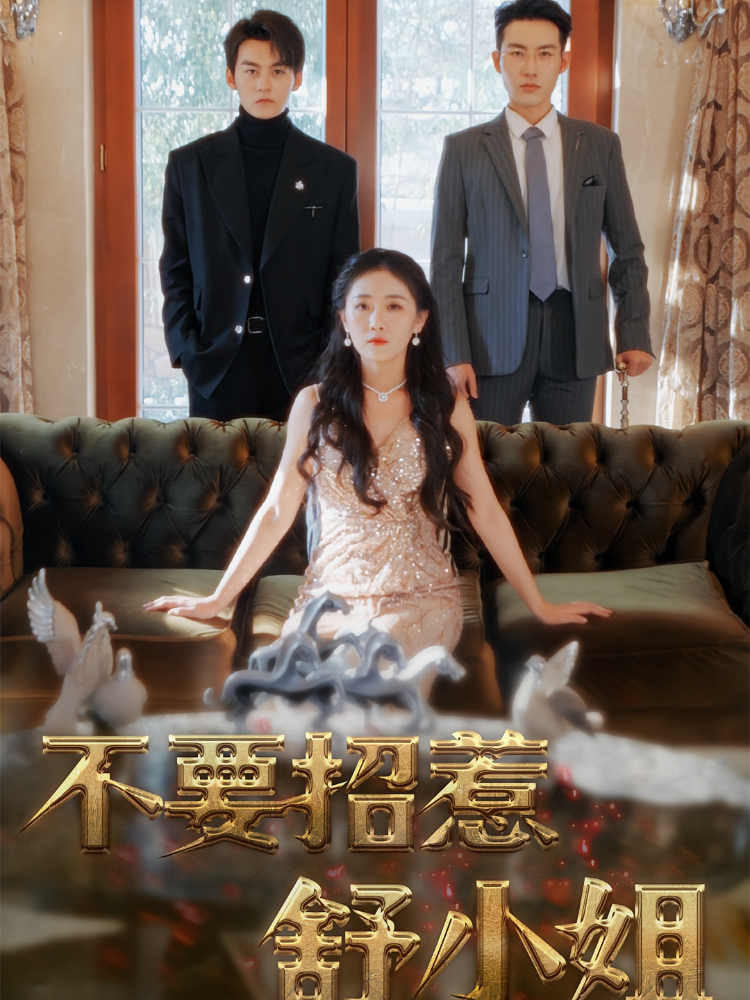 不要招惹舒小姐