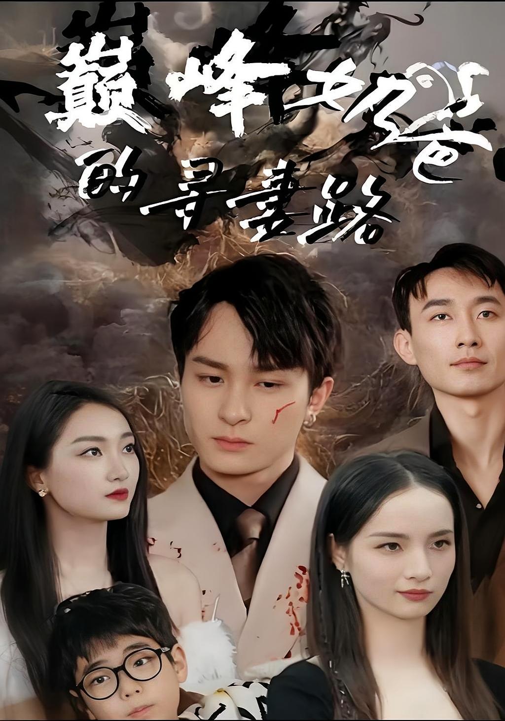 巅峰奶爸的寻妻路