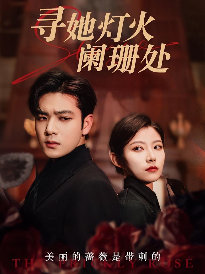 寻她灯火阑珊处