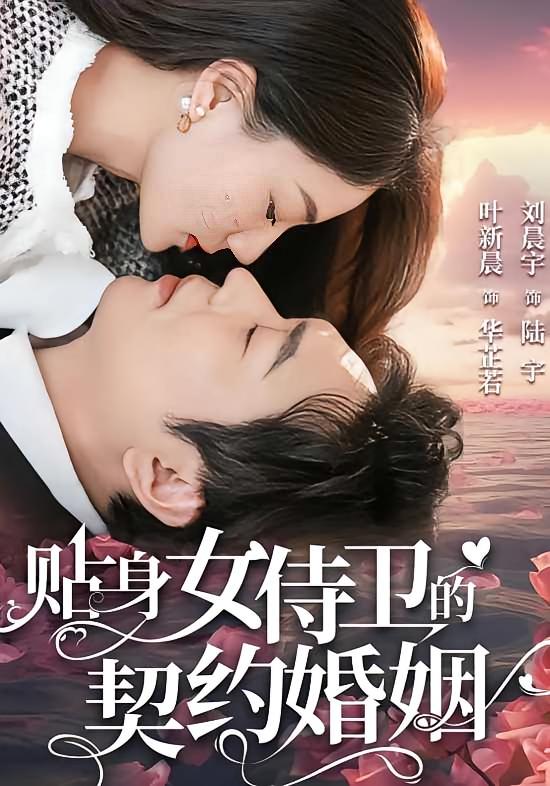 贴身女侍卫的契约婚姻