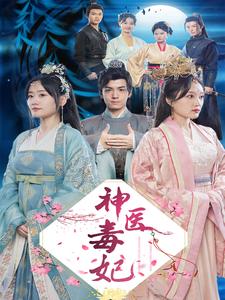 神医毒妃