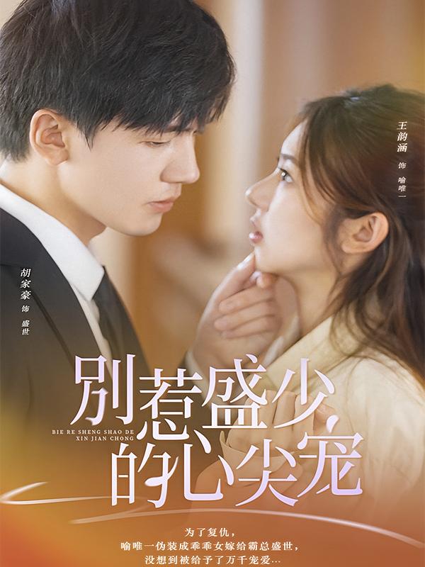 别惹盛少的心尖宠