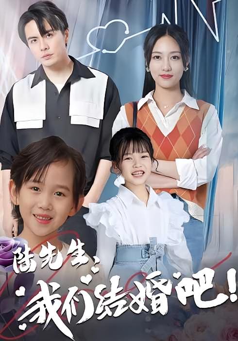 陆先生我们结婚吧