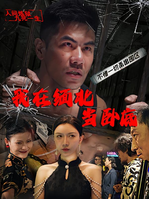 我在缅北当卧底