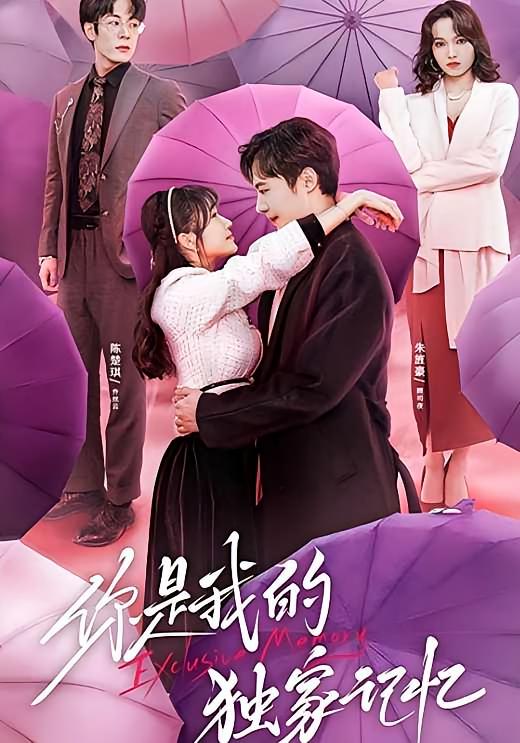 你是我的独家记忆