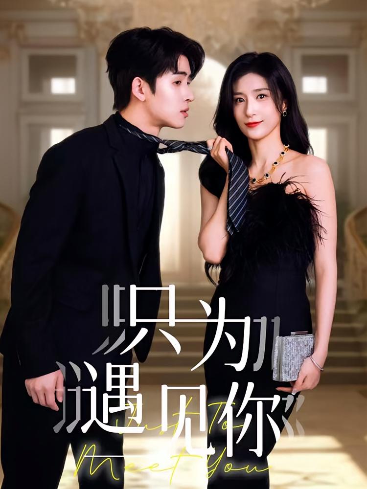 只为遇见你
