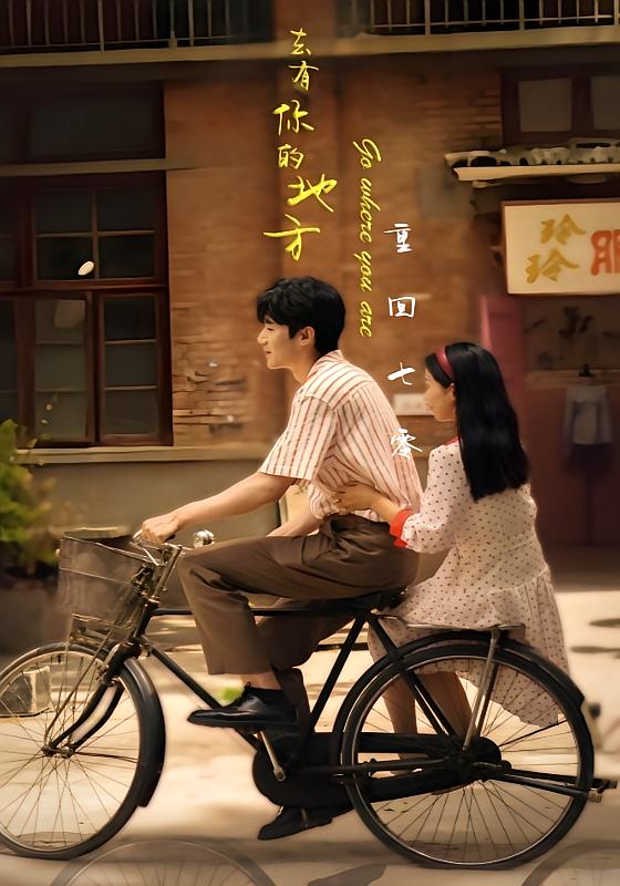 重回七零:去有你的地方