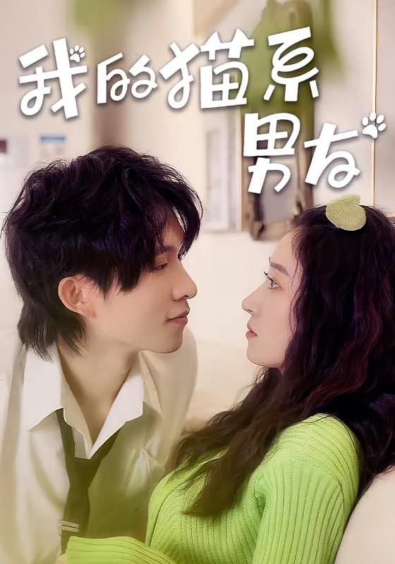 我的猫系男友