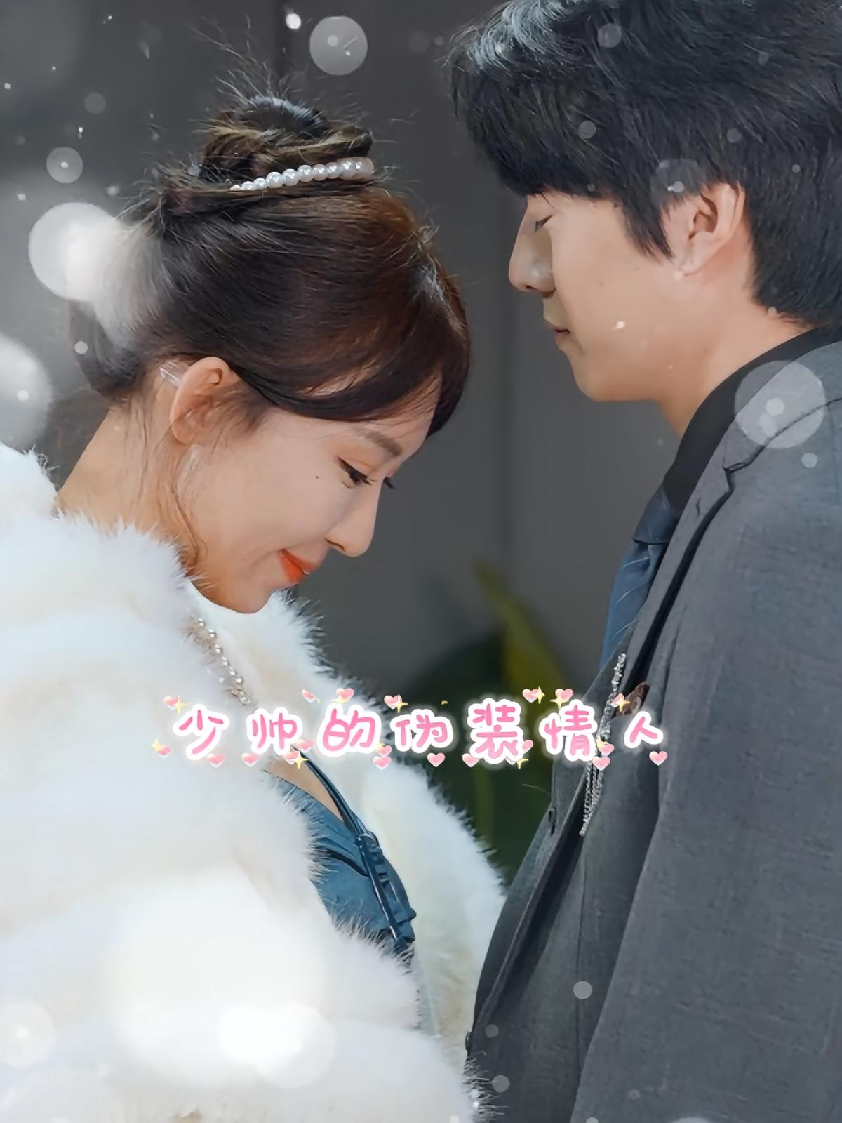 少帅的伪装情人