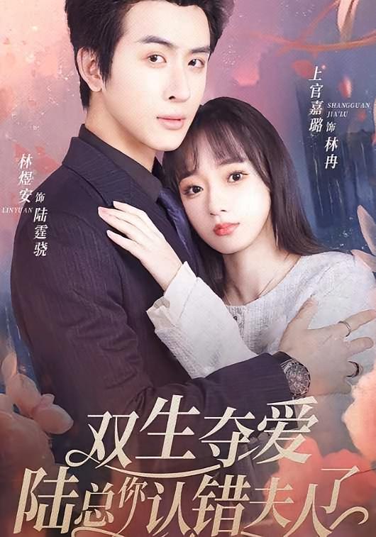 双生夺爱陆总你认错夫人了