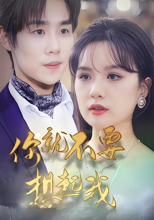 你就不要想起我