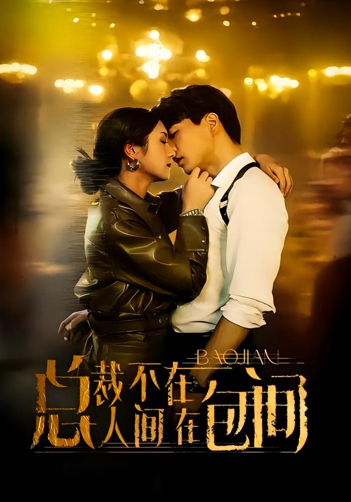 总裁不在人间在包间