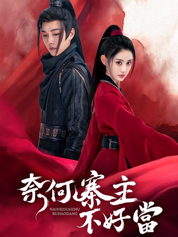 奈何寨主不好当