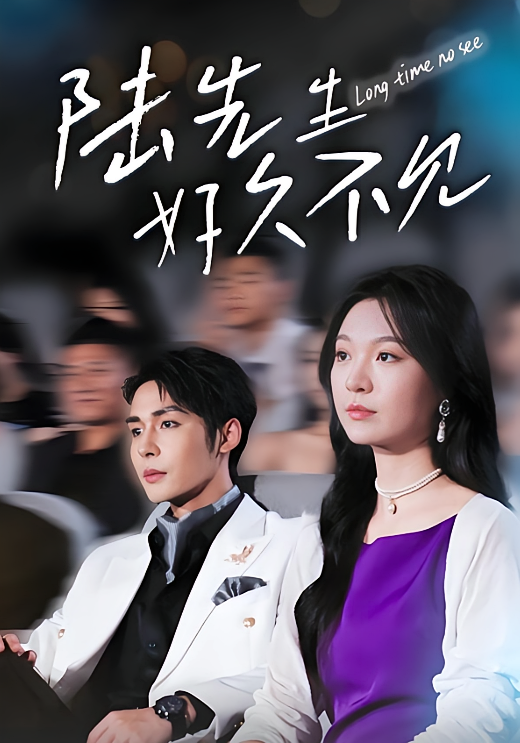 陆先生好久不见