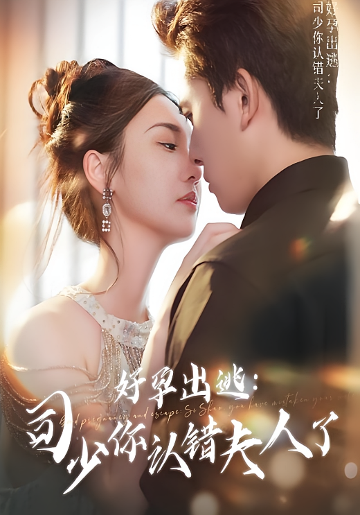 好孕出逃：司少你认错夫人了