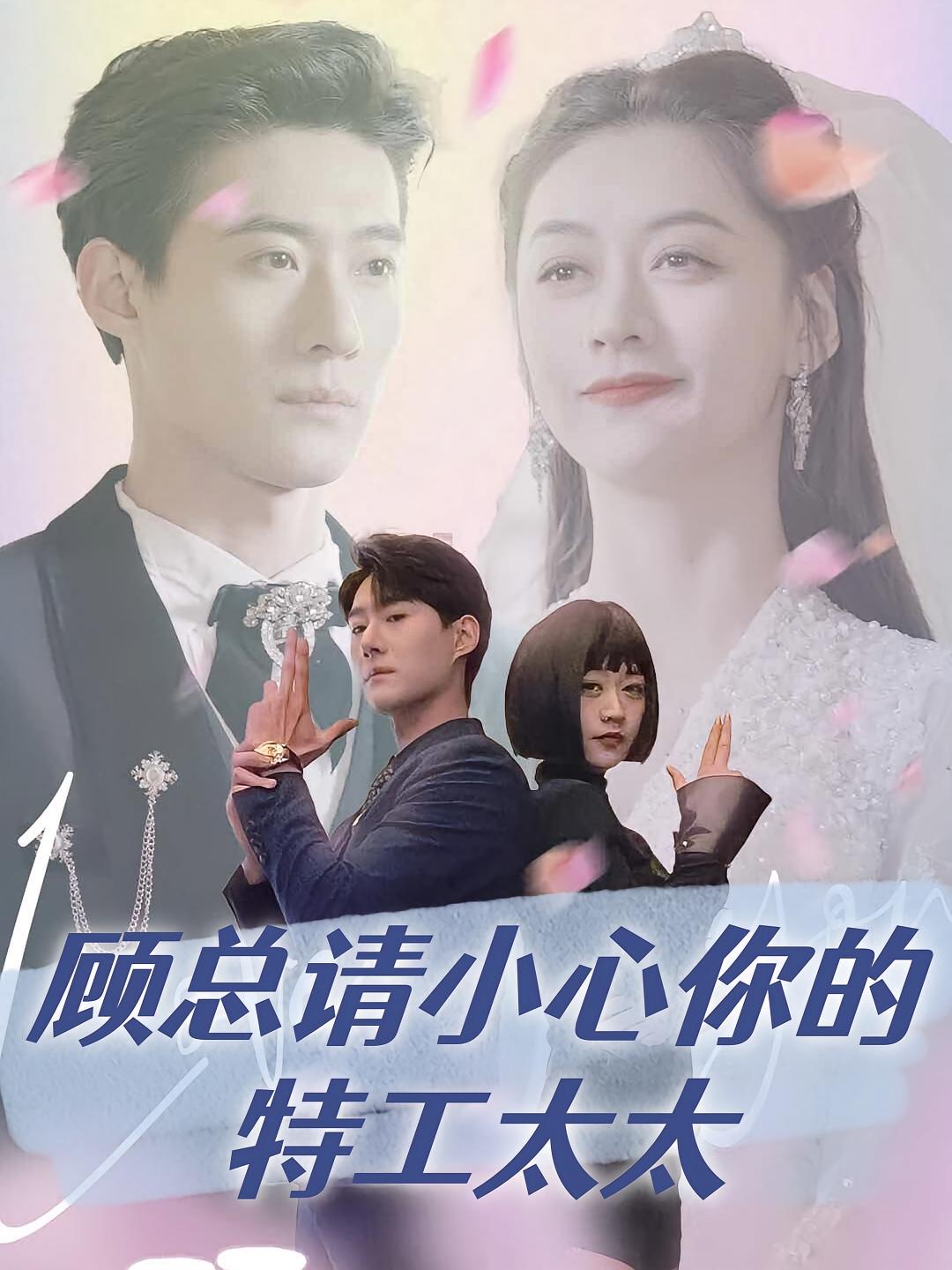 顾总请小心你的特工太太