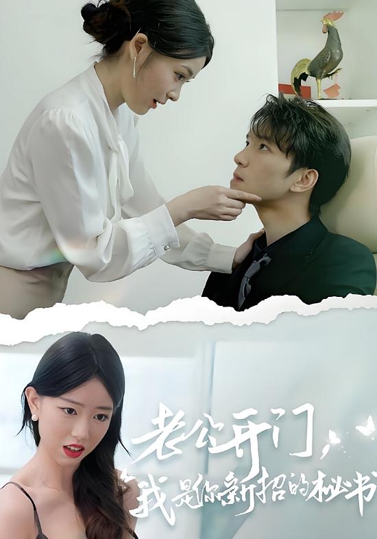 老公开门，我是你新招的秘书