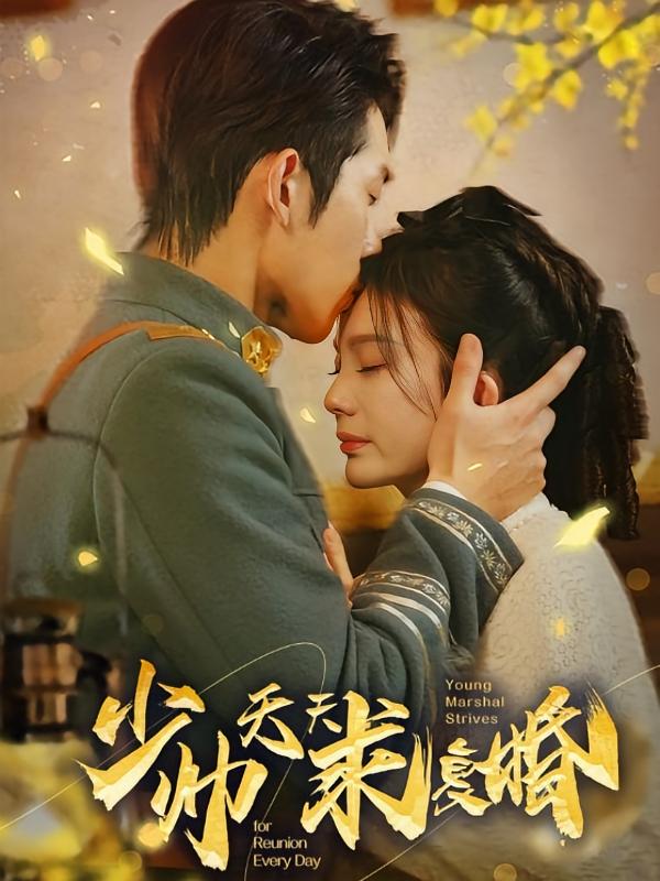 少帅天天求复婚